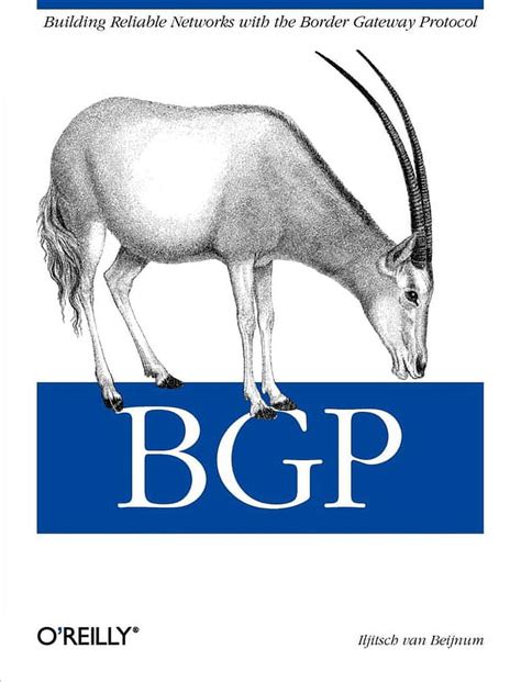 Download Bgp Building Reliable Networks With The Border Gateway Protocol 