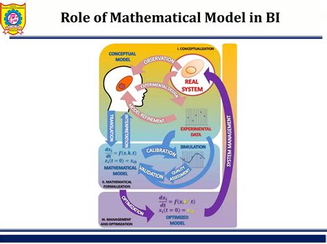 bi and bi