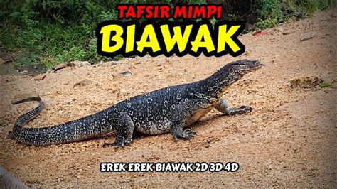 BIAWAK4D - Erek Erek Biawak 2D 3D 4D di Buku Tafsir Mimpi - Kode Alam