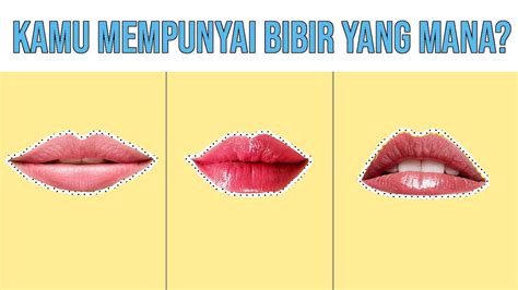 bibir tipis bahasa inggris