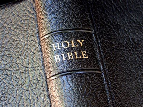 bible spine