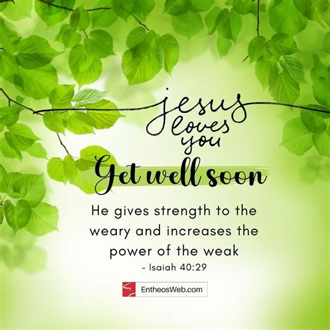 Bible The Message