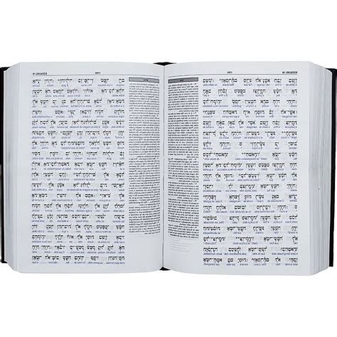 Biblia Interlinear