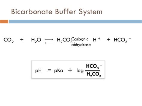 Bicarbonate Buffer System Equation