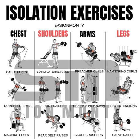 Bicep Isolation Exercises