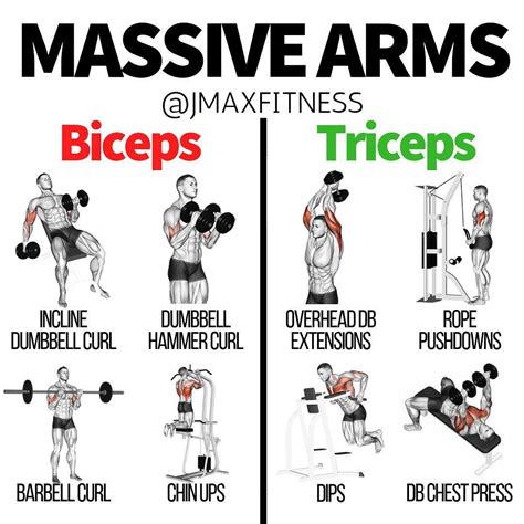 Biceps Exercise Chart For Men