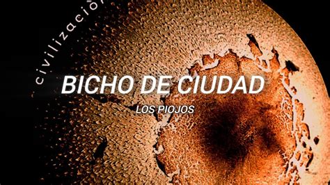 Bicho De Ciudad