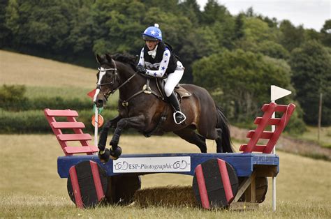 bicton horse show