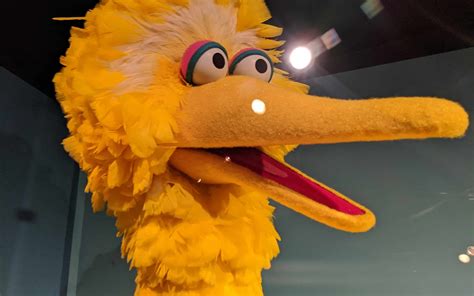 Big Bird And