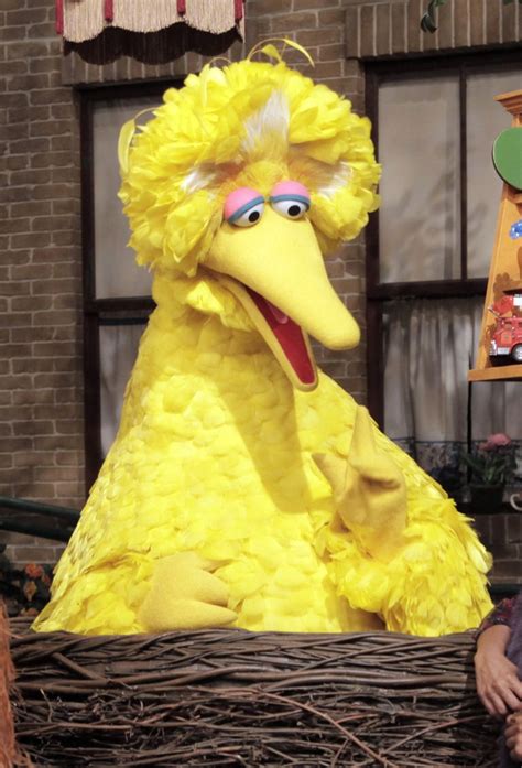 Big Bird Big Bird