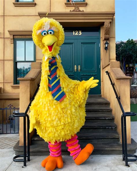 Big Bird Bird