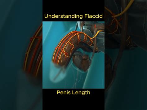 Big Black Penus