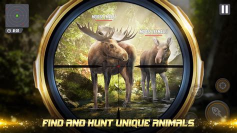 big buck hunter apk