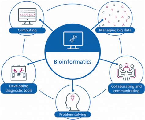 Big Data Analysis For Bioinformatics And Biomedical Discoveries Chapman Hallcrc Mathematical And Computational Biology