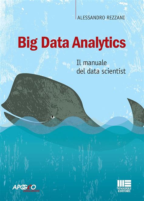 Big Data Analytics Il Manuale Del Data Scientist
