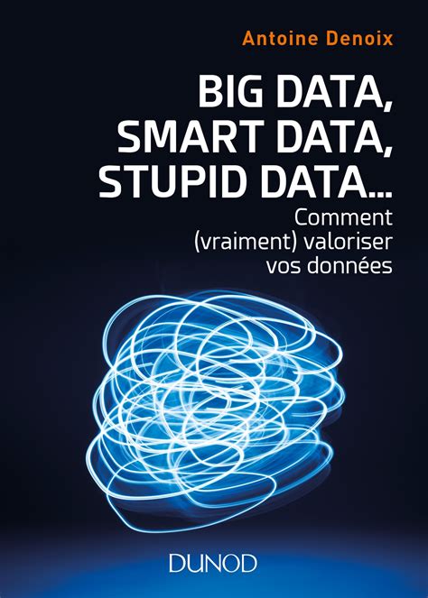 Big Data Smart Data Stupid Data Comment Vraiment