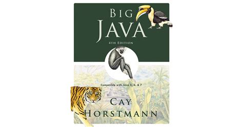 Big Java 4th Edition Solution Manuals Baabuu