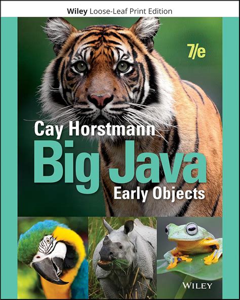 Big Java Early Objects