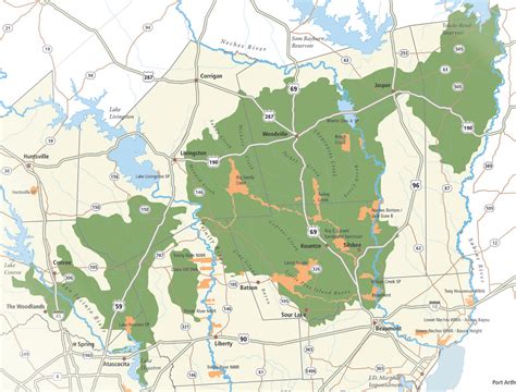 big thicket texas