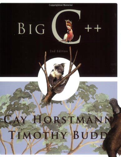 Full Download Big C 2Nd Edition 