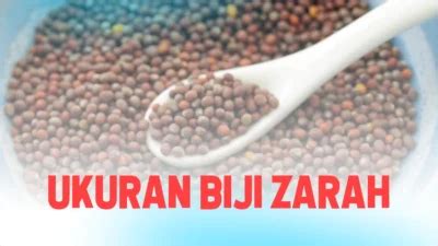 biji zarah | Hb dan berat low Hi sesiapa ada