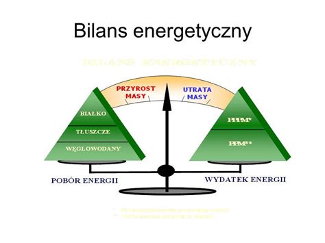 bilans energetyczny
