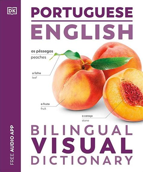 Bilingual Visual Dictionary
