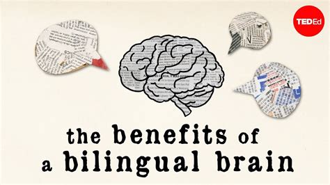 Read Online Bilingualism And Cognitive Development 