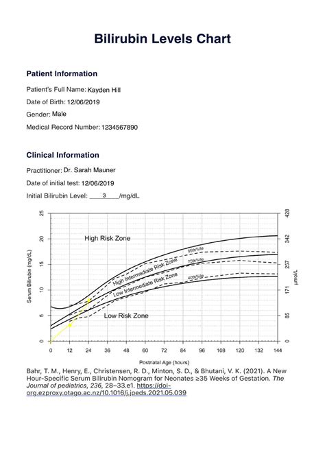 Full Download Bilirubin 15 Manual Guide 