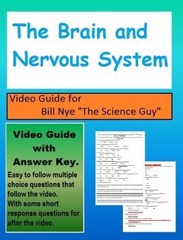 Bill Nye S2e14 The Brain And Nervous System The Nervous System Worksheet Answer Key - The Nervous System Worksheet Answer Key