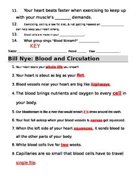 Bill Nye Worksheets Blood Worksheet Answer Key - Blood Worksheet Answer Key