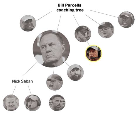 Bill Walsh Coaching Tree