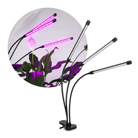 billig växtbelysning