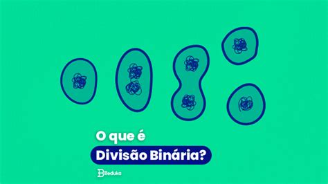 Binaria O Que é