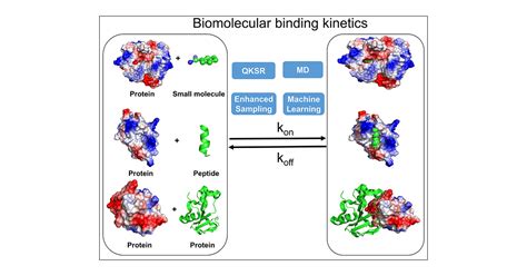 Binding And Kinetics For Molecular Biologists