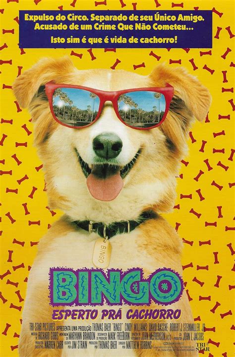 bingo 1991 online subtitrat hjnk