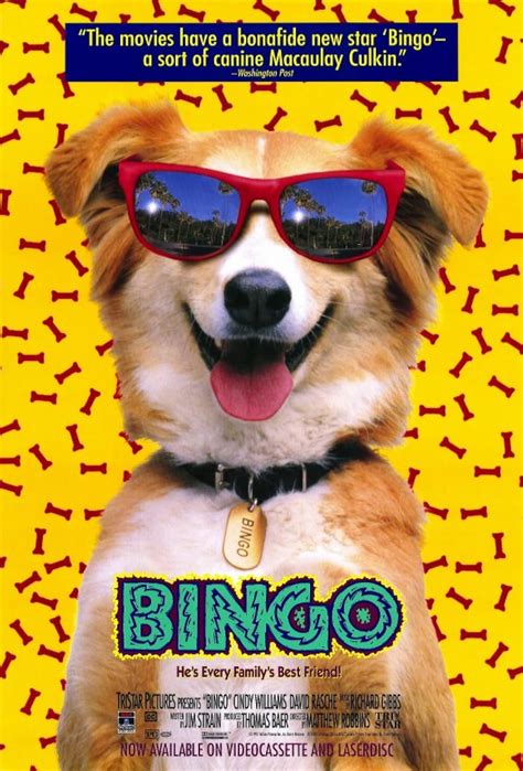 bingo 1991 online subtitrat iguz canada