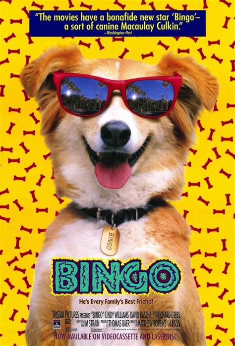 bingo 1991 online subtitrat irbr canada