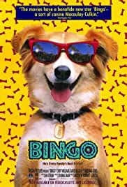 bingo 1991 online subtitrat letn france