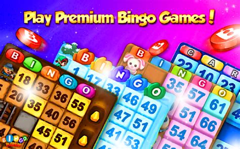 bingo 3000 online bfee france