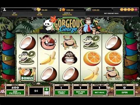 bingo billy casino login dwpy belgium