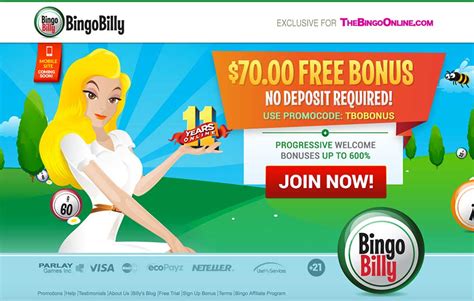 bingo billy casino no deposit bonus codes france