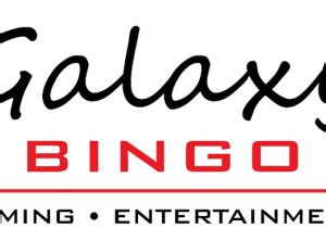 bingo casino johannesburg npfe