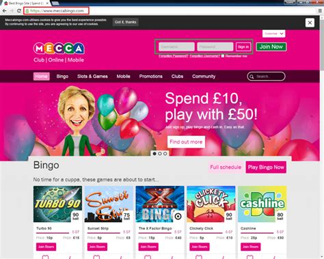 bingo casino login fhoz france