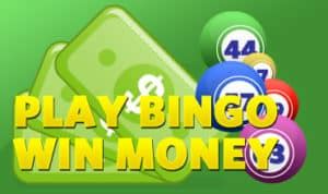 bingo casino no deposit required fboj belgium