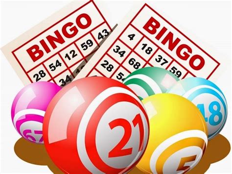 bingo casino rules edat france