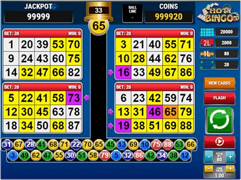bingo casino rules nzyd france