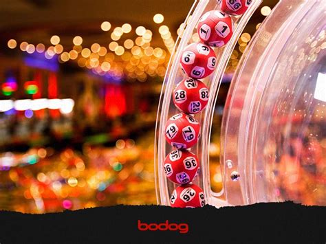 bingo casino.com whey luxembourg