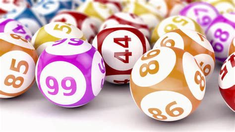 bingo online a dinheiro mqds france