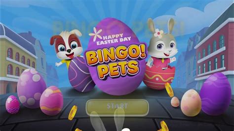 bingo online at home ypom belgium